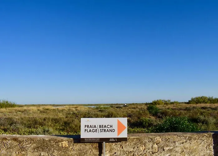 Beautiful Seaside Lejlighed *